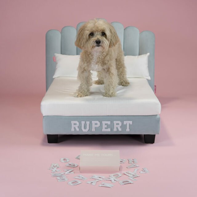 Riviera Blue