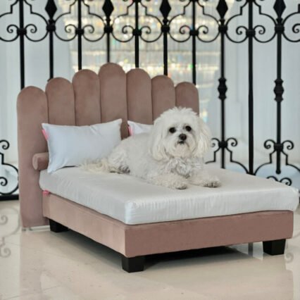 Dusky Pink