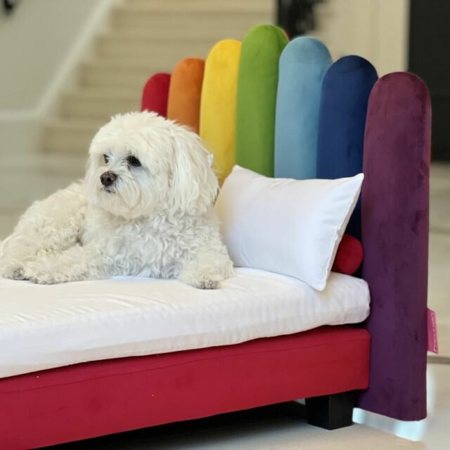 Unicorn - Image 4
